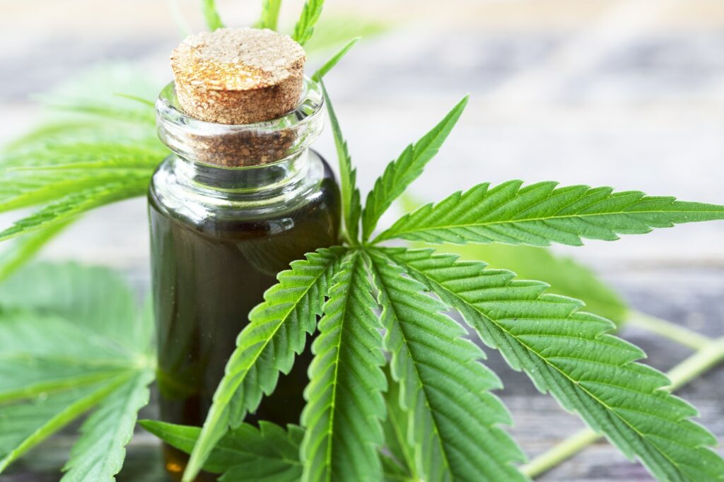 Cannabis Oil